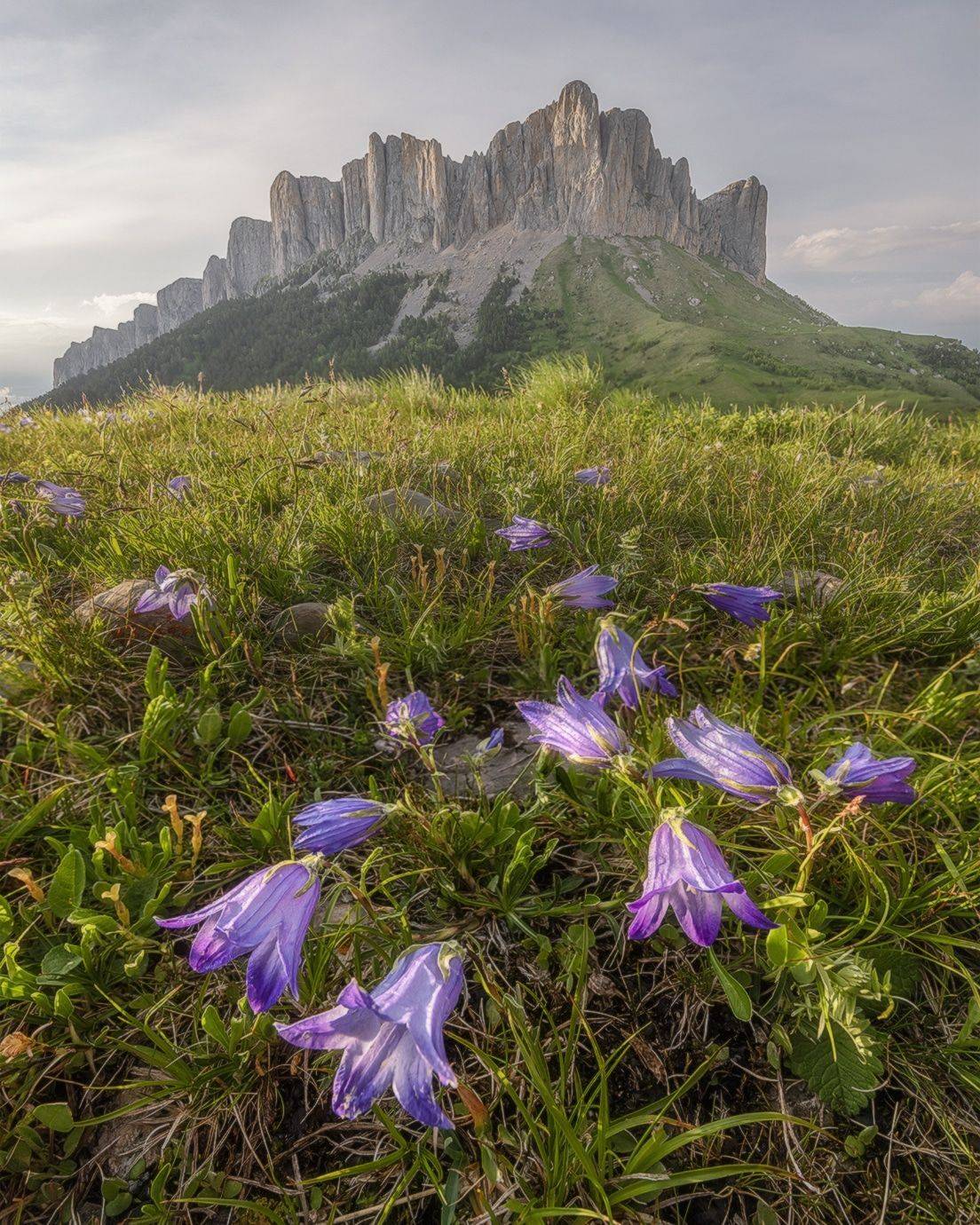 западный кавказ, большой тхач, лето, Мысливцев Николай