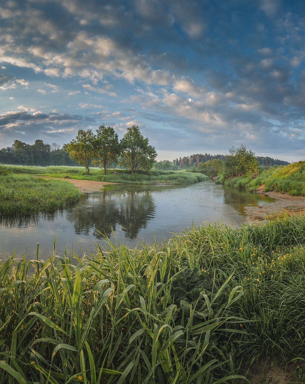 , Николай Андреев