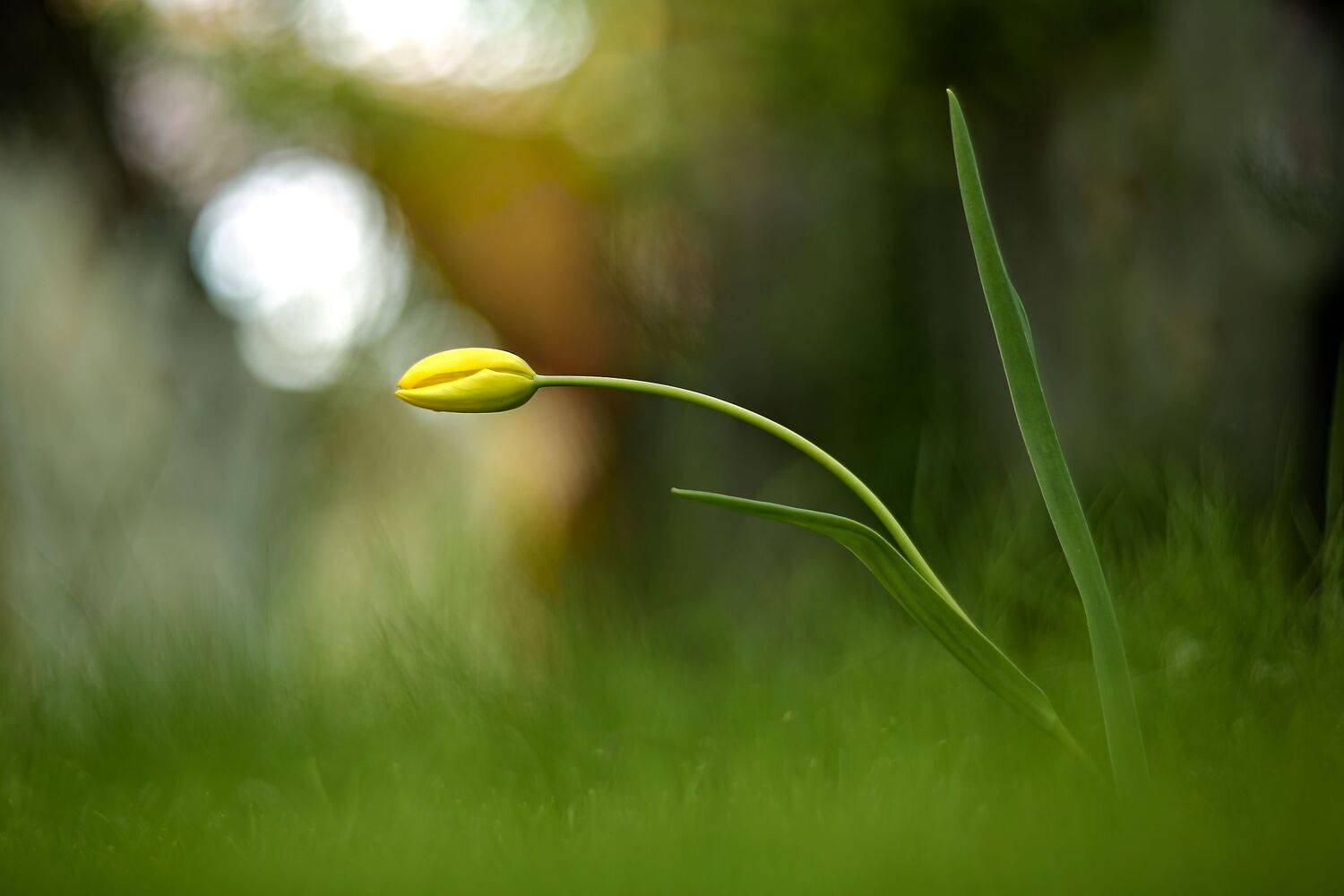 , Эдуард Колобошников