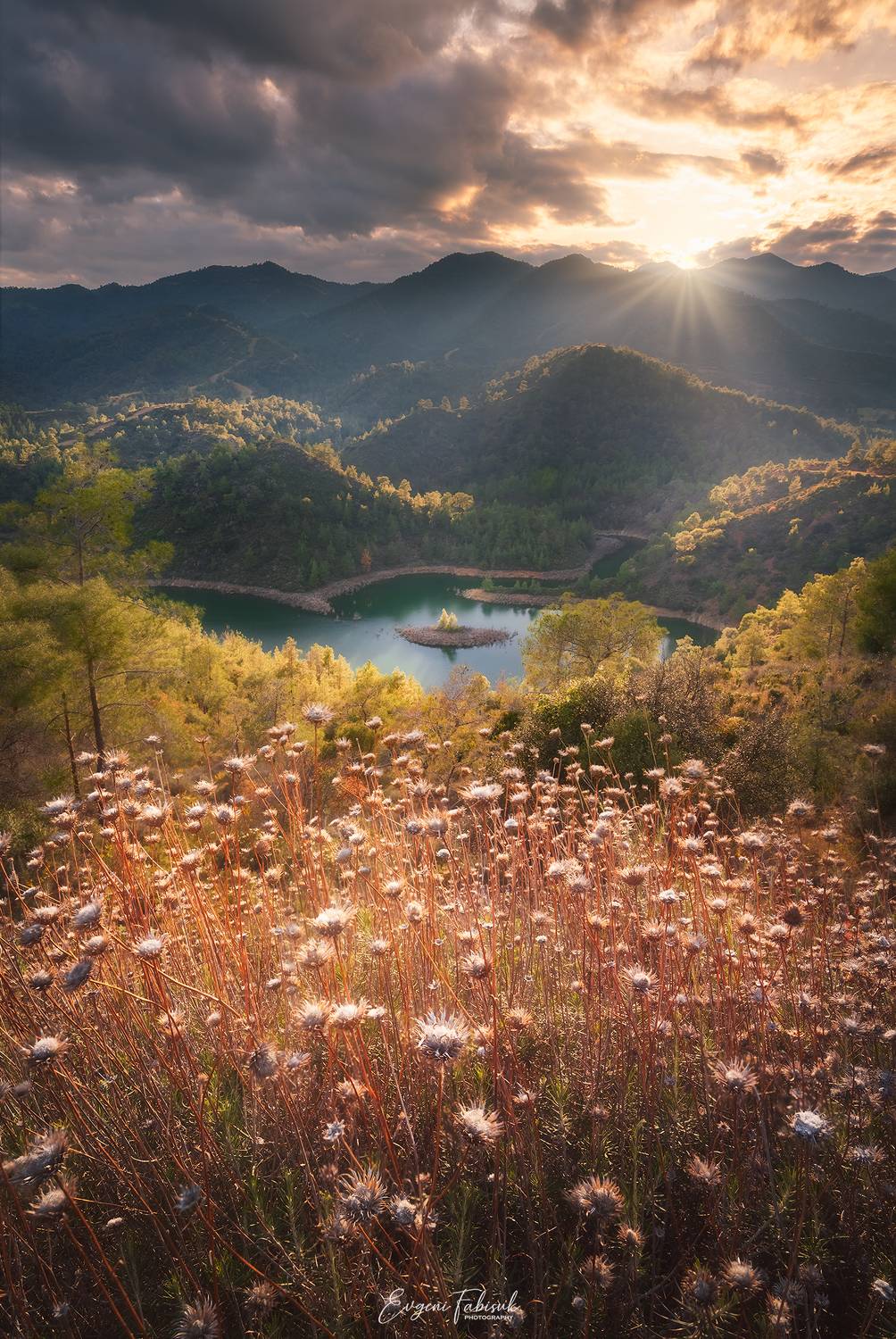 , Evgeni Fabis