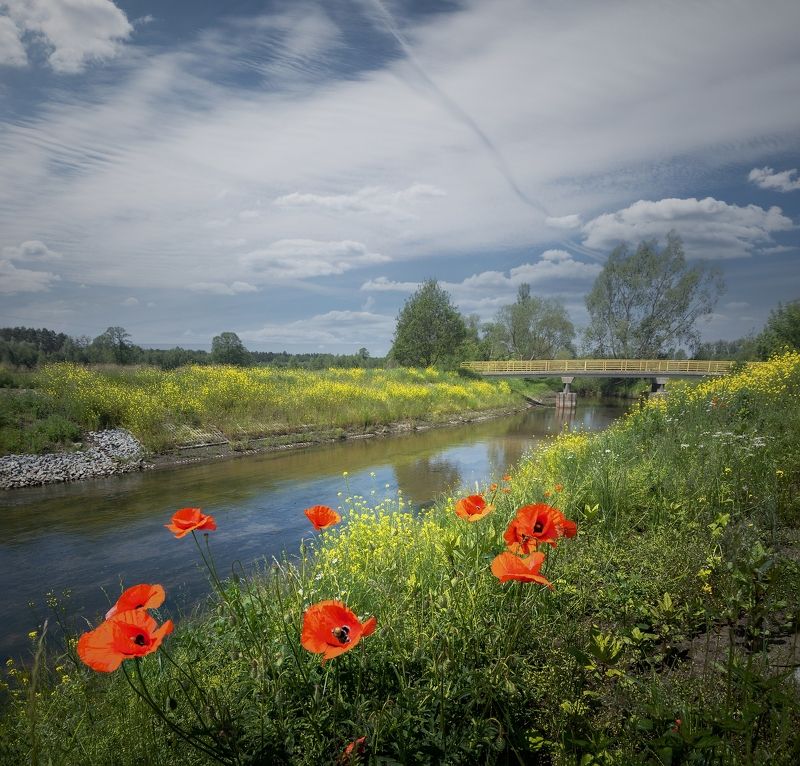 Нер фото превью