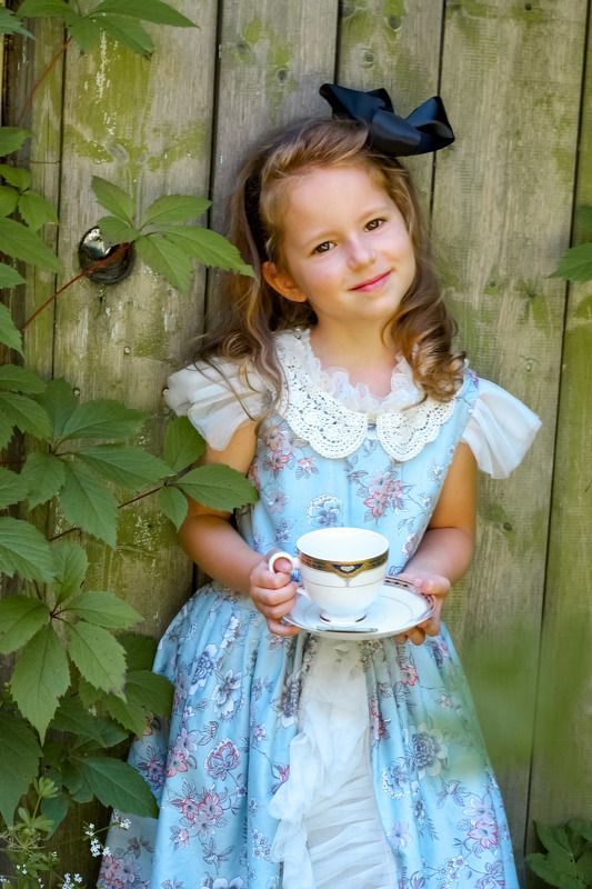 Алиса, страна чудес, сказка, игра Алиса в Стране Чудес фото превью