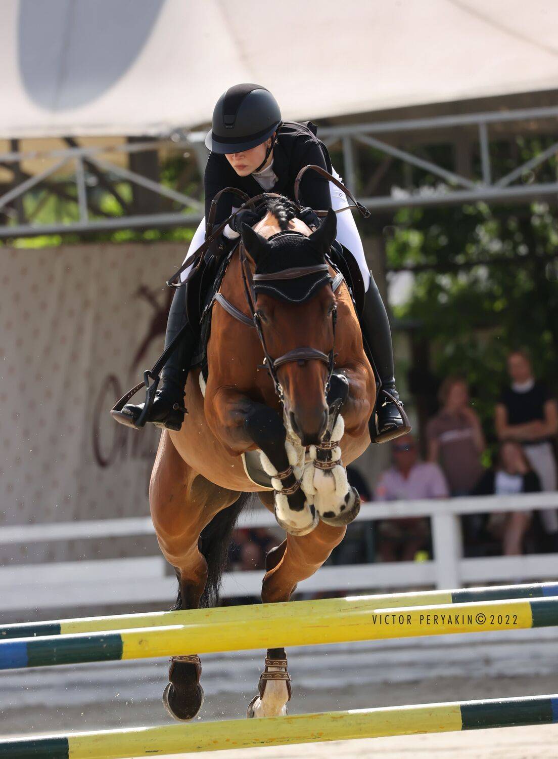 , Виктор Перякин