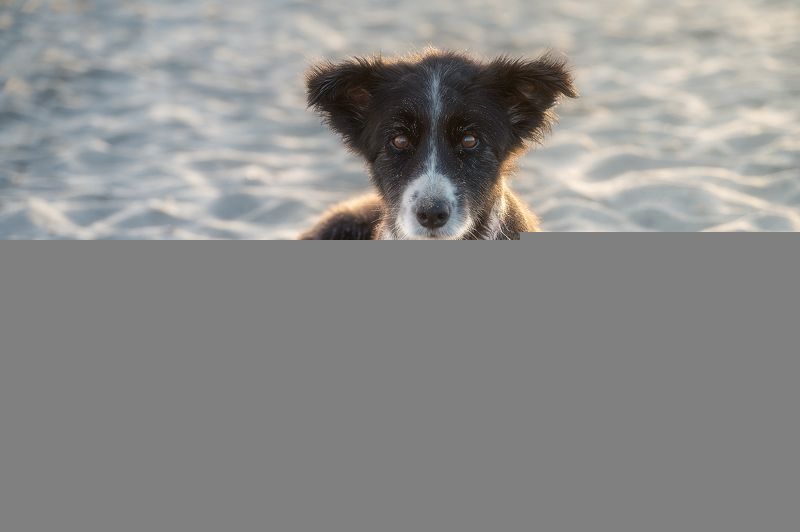 Evita фото превью