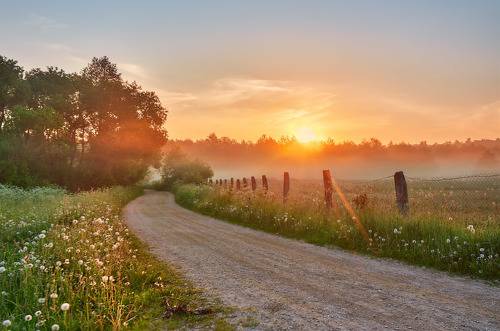 Летнее утро в Подгае