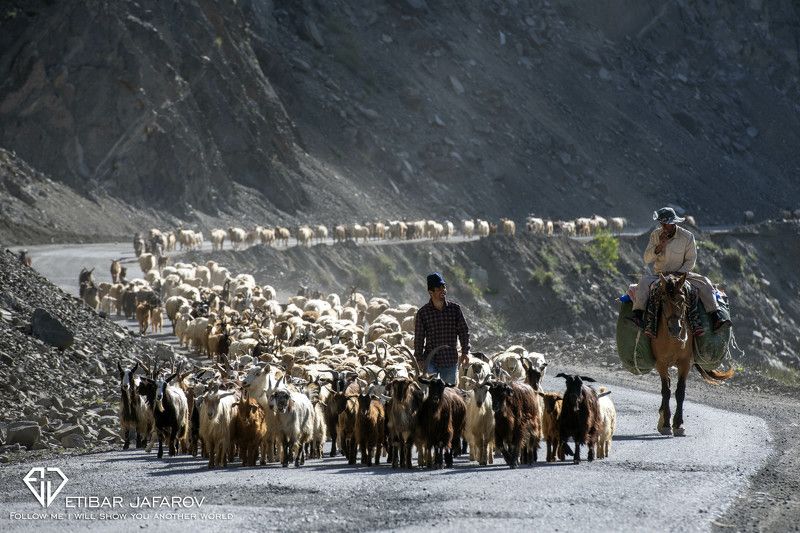 LAHIC фото превью