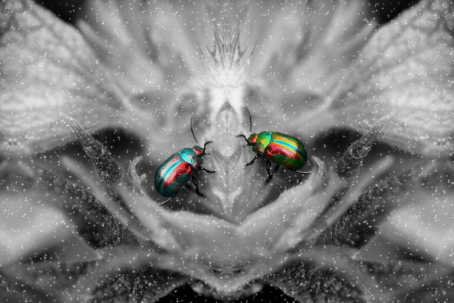 creative, креатив, концепция, коллаж, всегда, вместе, двое, creative, conceptual, collage, fineart, Дмитрий Салтыков