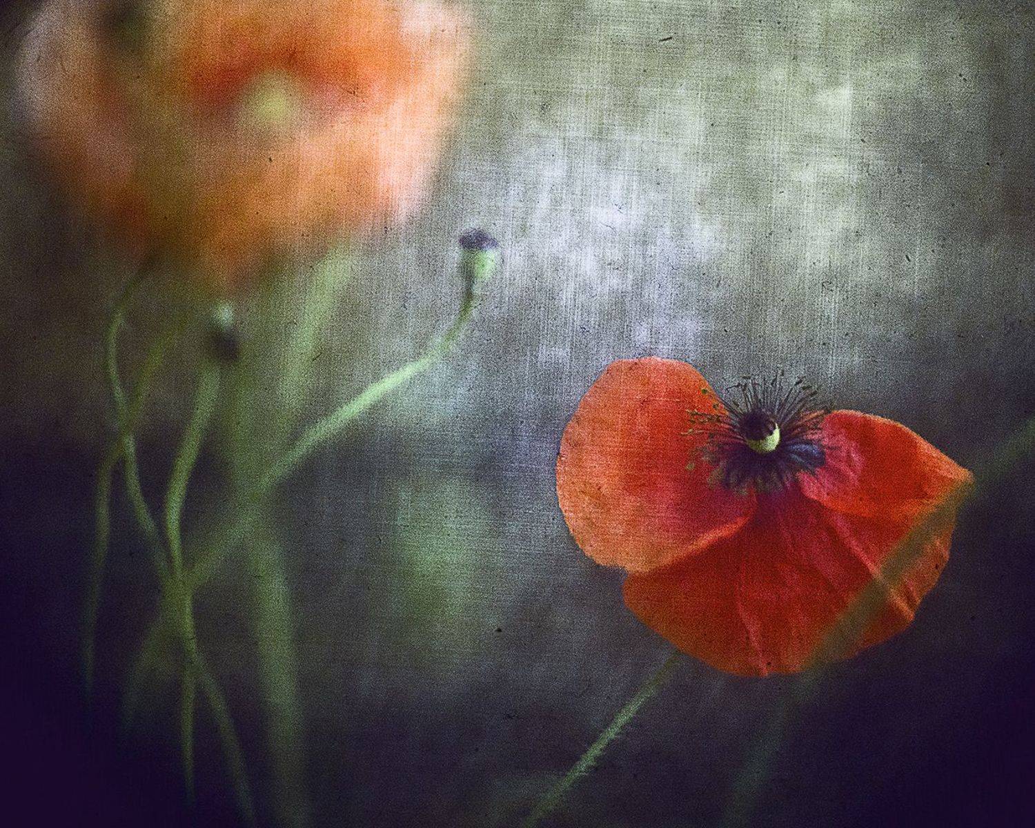 , Татьяна Аверина