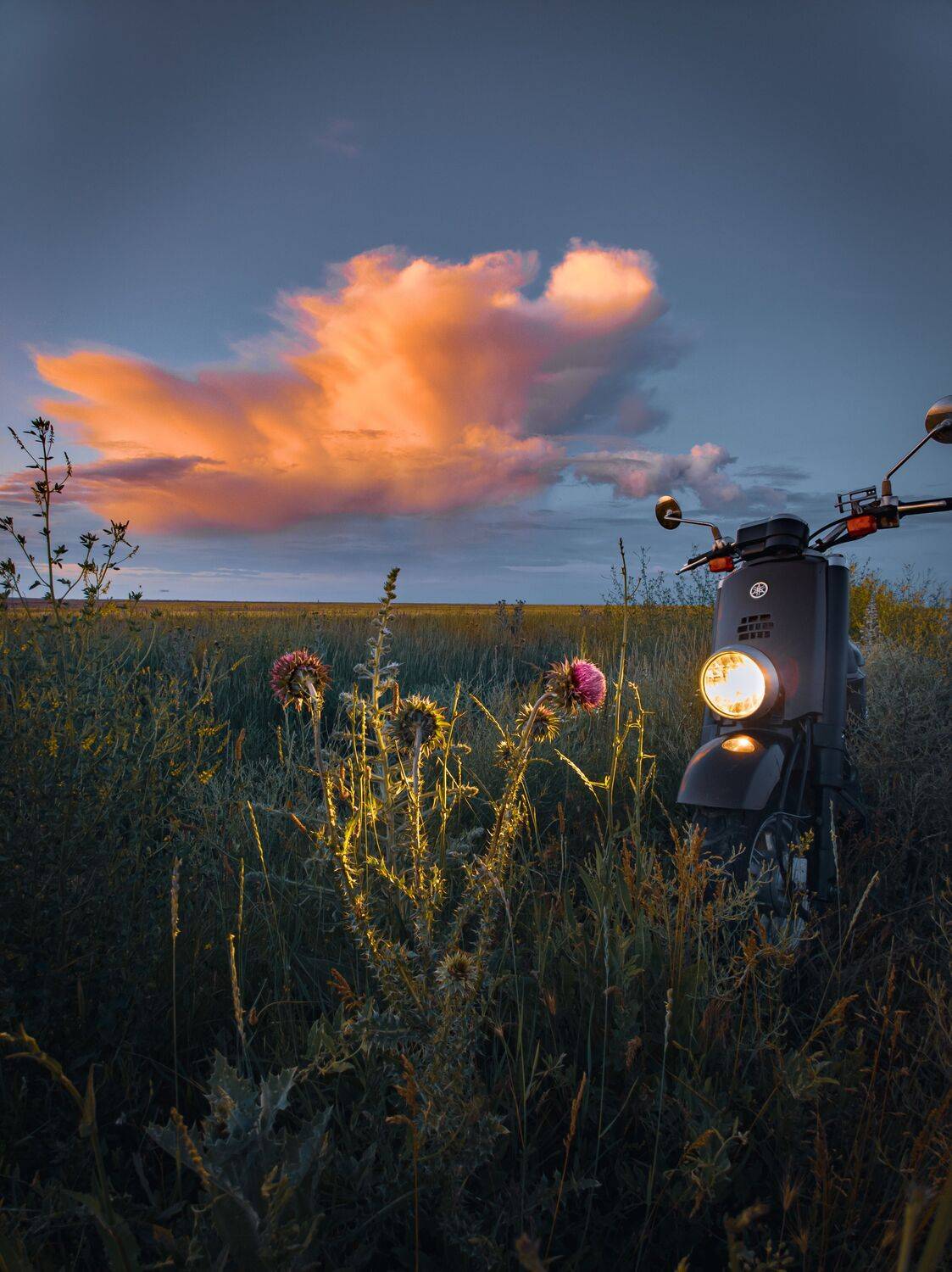 , Андрей Кривцов