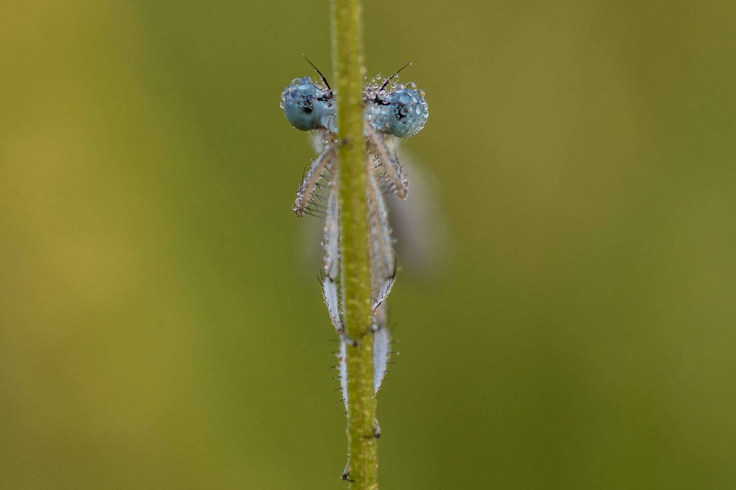 , Роман Зайцев
