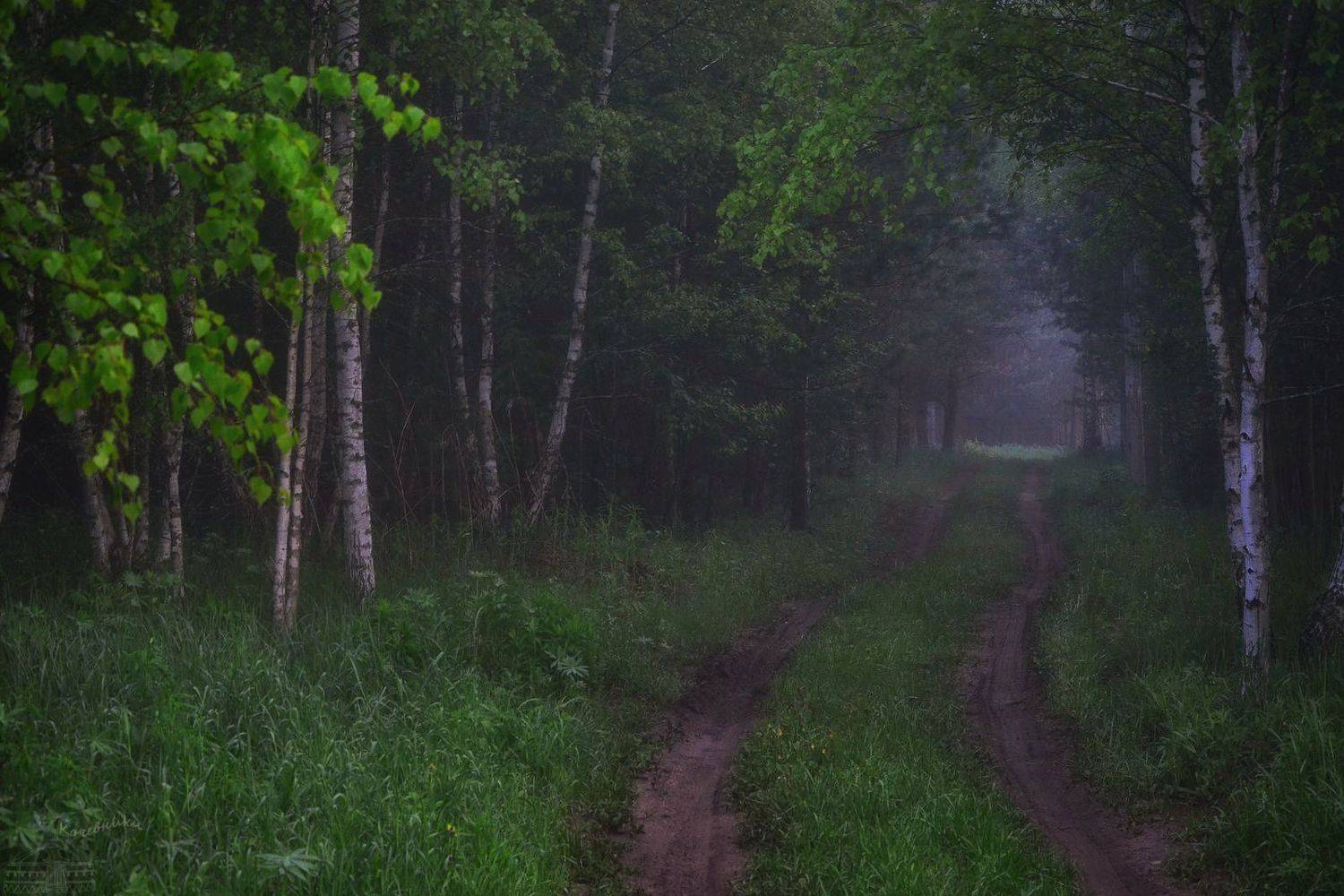 , Юлия Абрамова