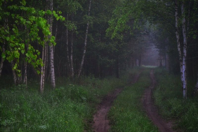 Дорога в туман фото превью