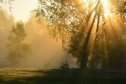 Преломление весны