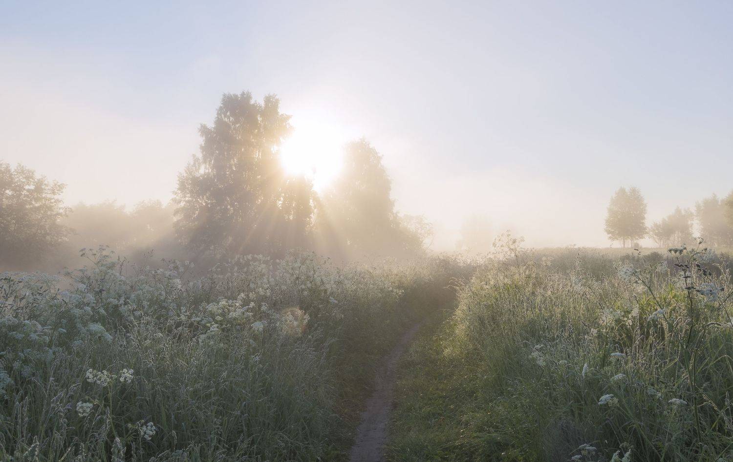 природа, пейзаж, туман, Ольга Бонина