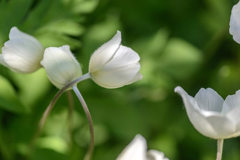 Обними меня ✿✿⊱╮ фото превью