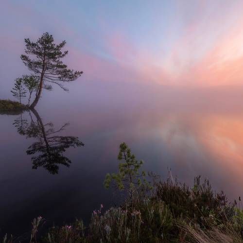 Перед рассветом