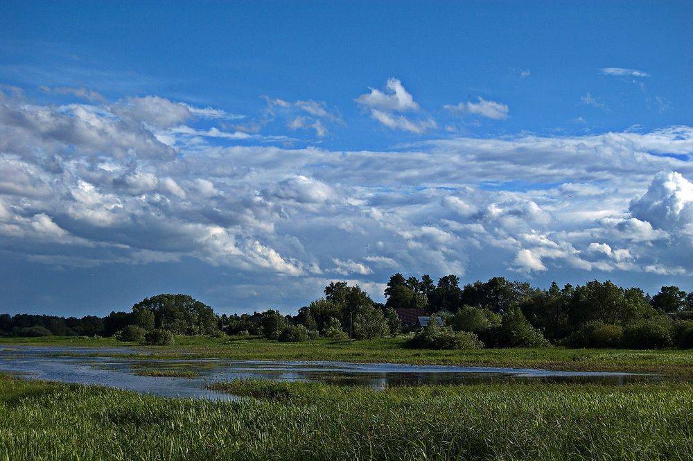 , Николаев Владимир