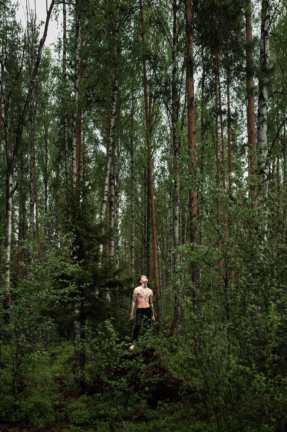 , Александр Стрелков