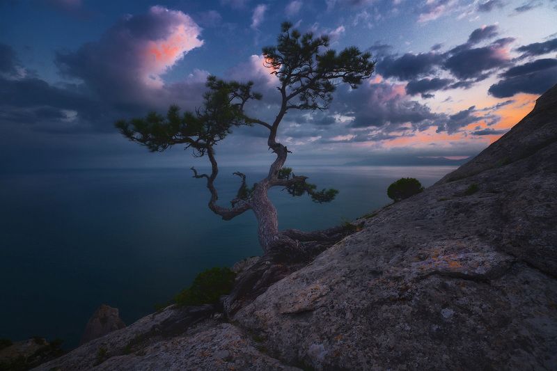 Новый свет фото превью