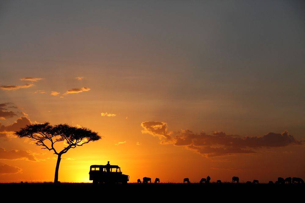 #sunset #masaimara #sundown, Dr Ajay Kumar Singh