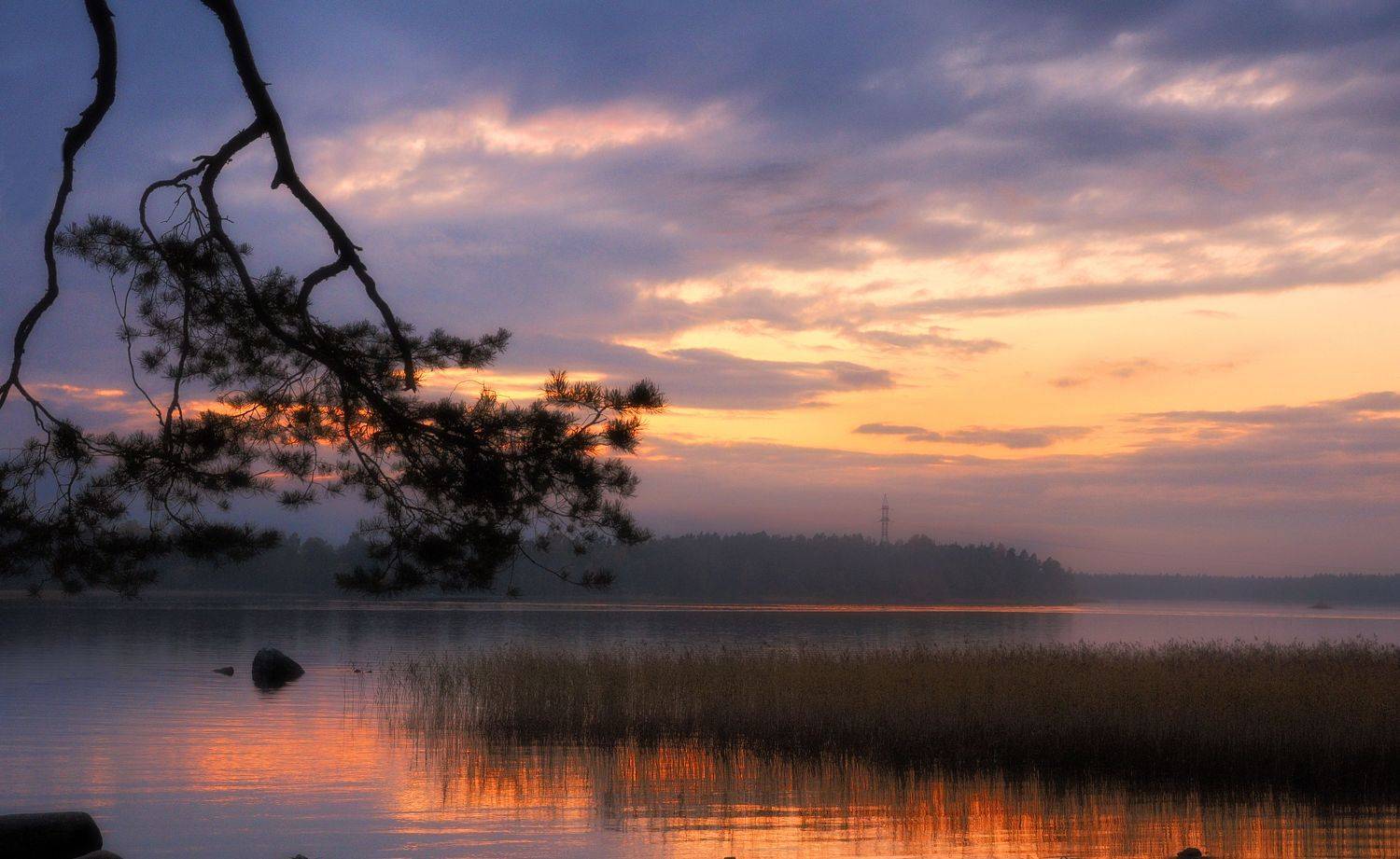 озеро ветка закат трава камни, Вера Петри