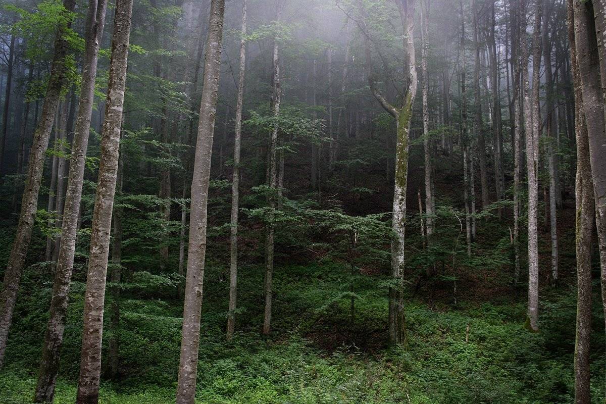 , Виталий Ра