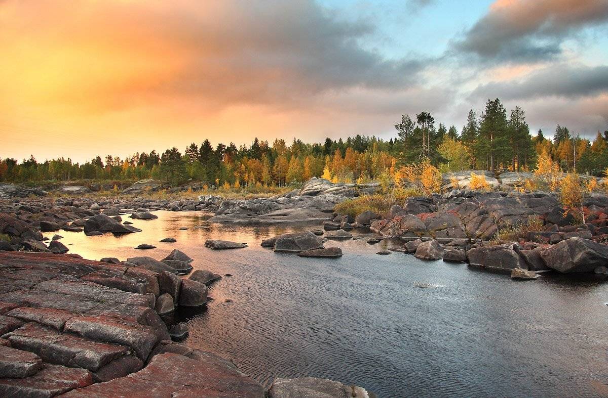 , Александр Коротков