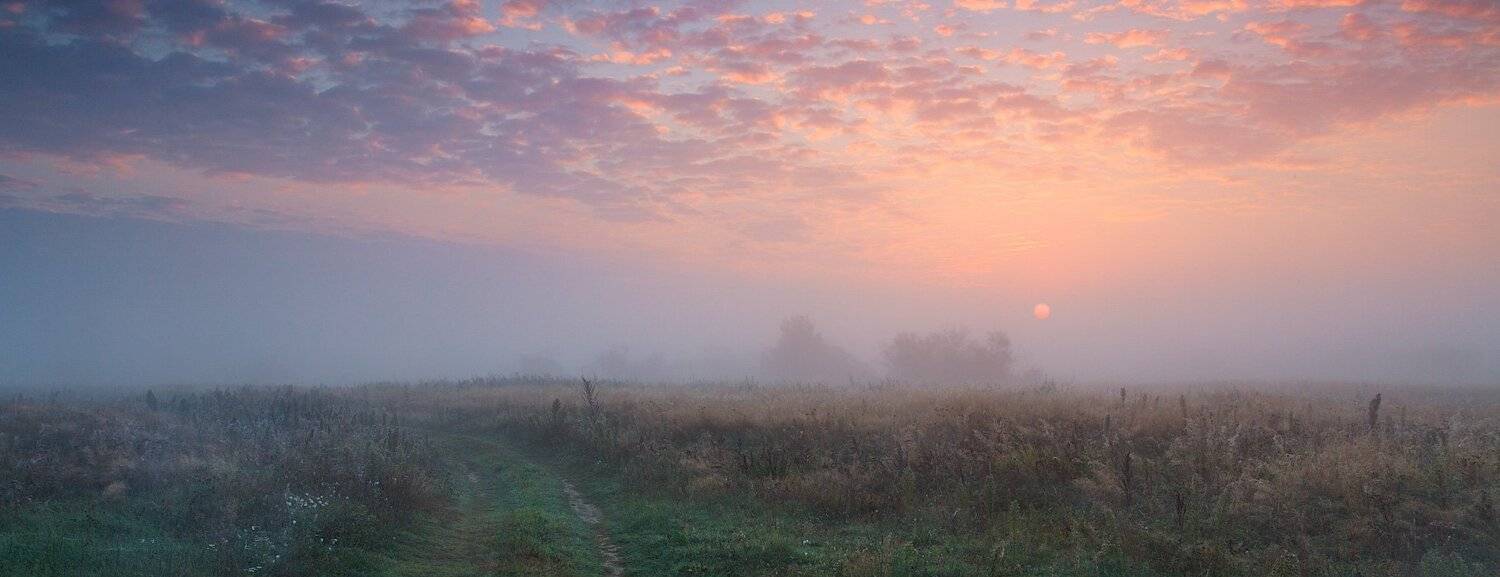 , Михаил Кушнер