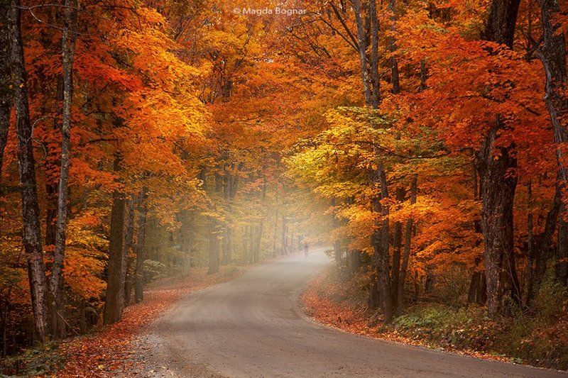 Autumn Walk фото превью