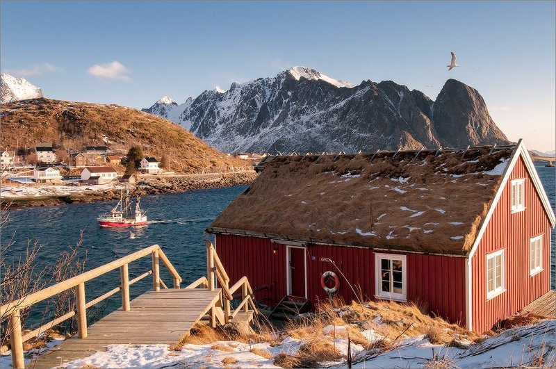 Жизнь вокруг фото превью