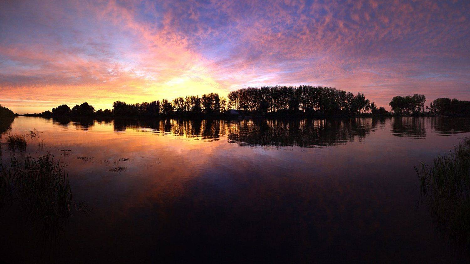 astrakhan, Александр Горлов