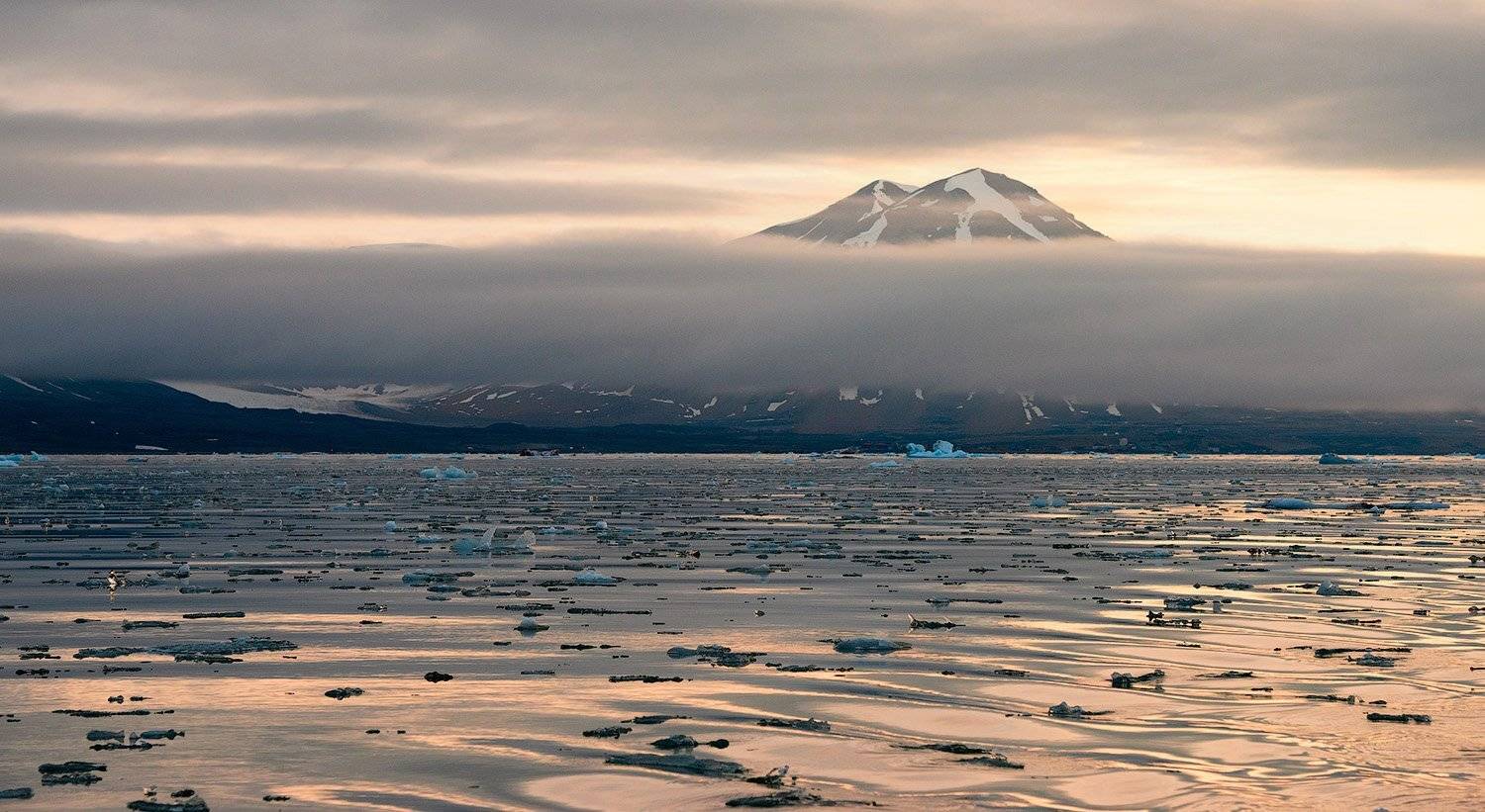, Андрей Ведерников