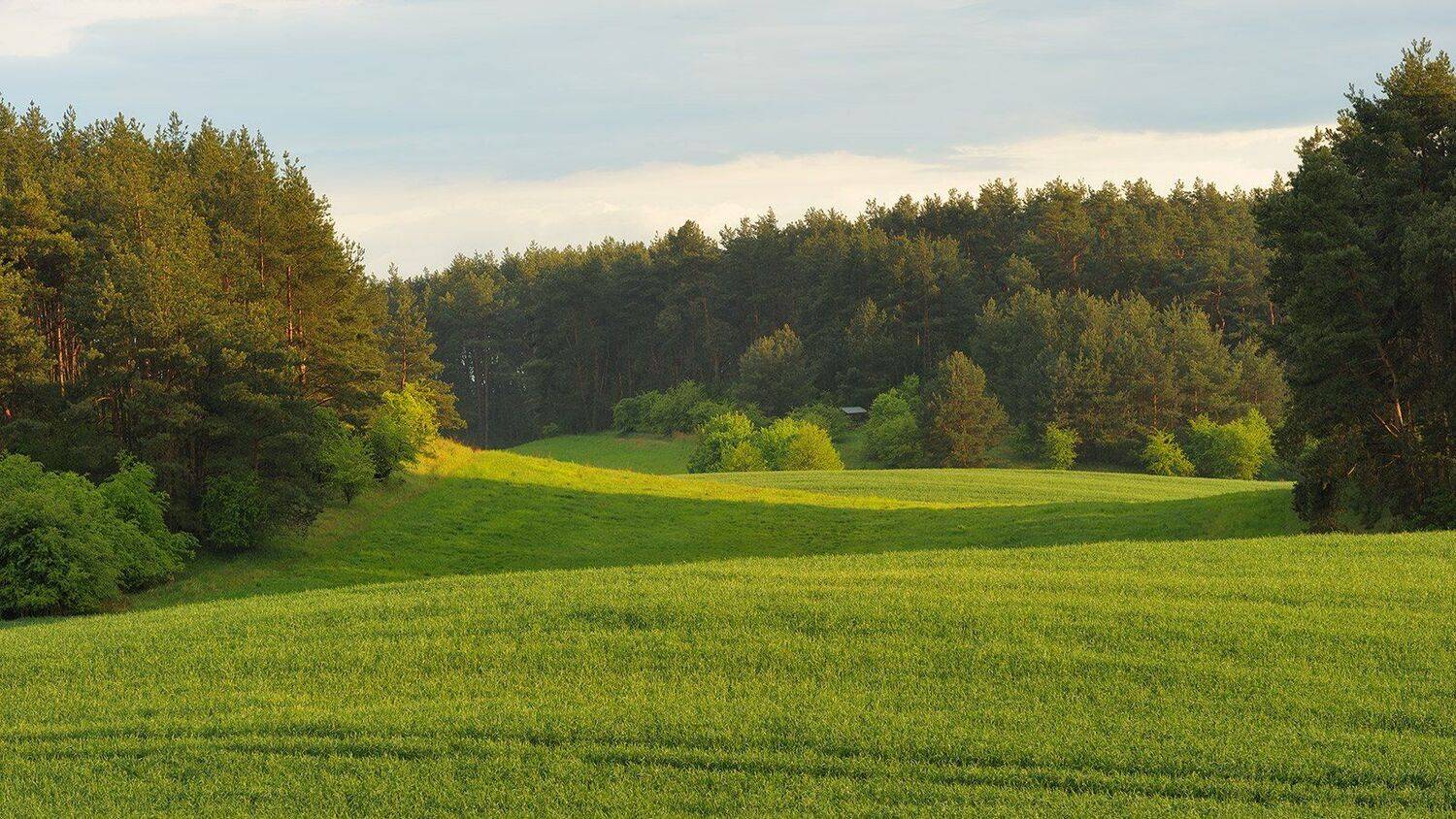 , Wojtek Kapuściński