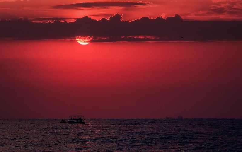 Рубиновый вторник фото превью