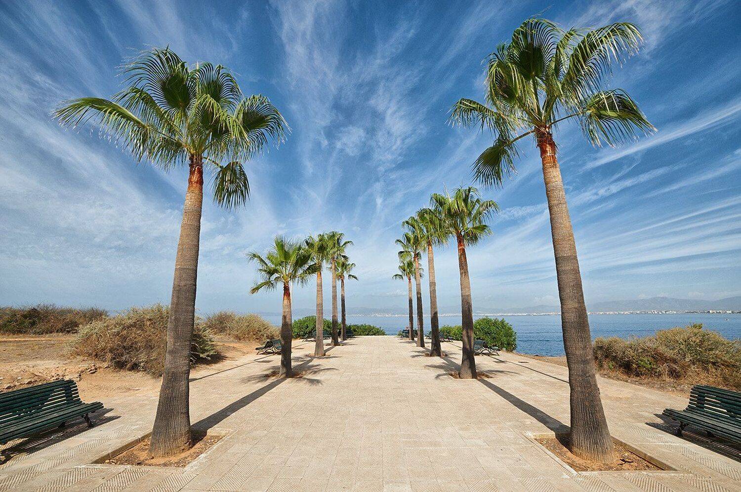 Море, Небо, Пальмы, Пейзаж, Пантелеев Алексей