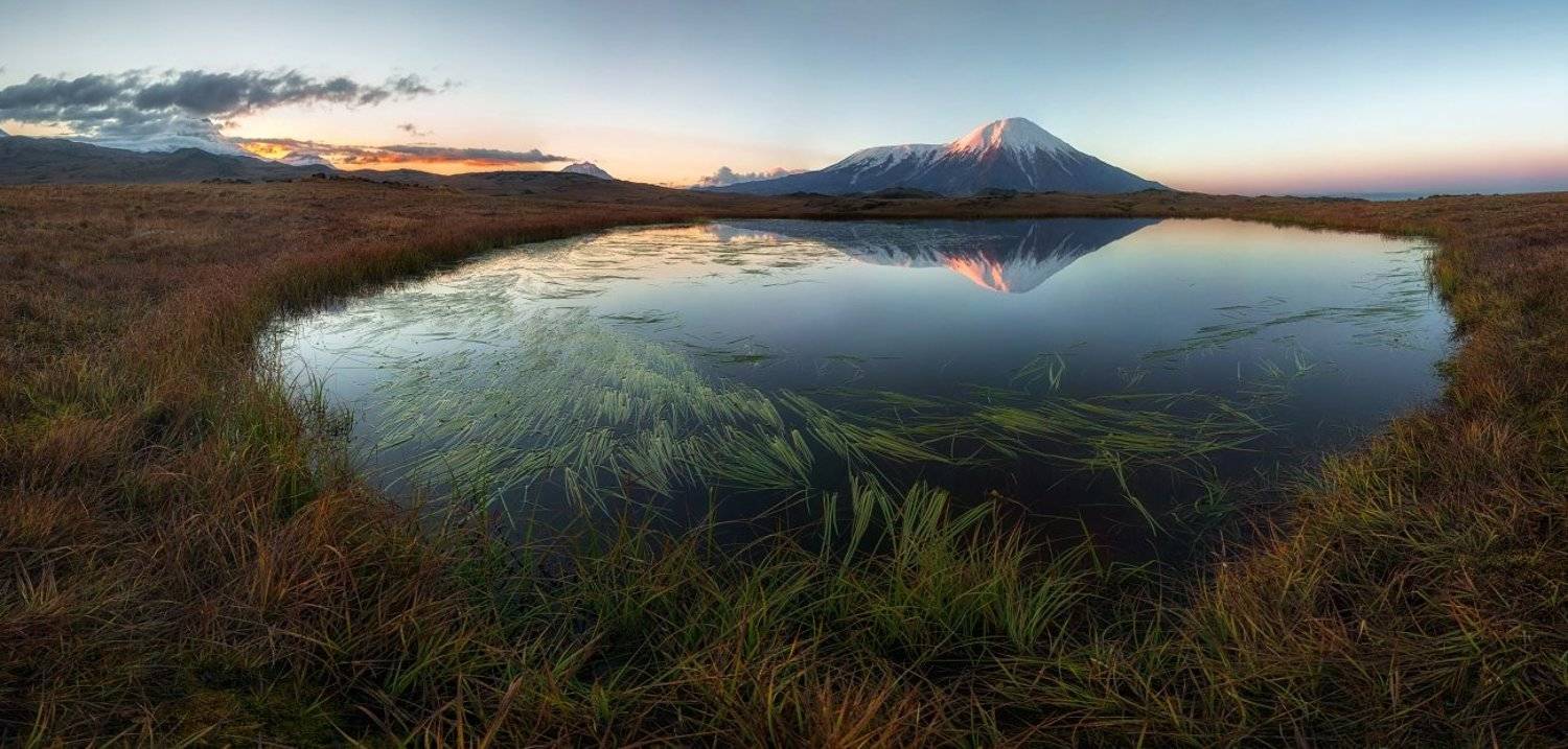 , Андрей Грачев