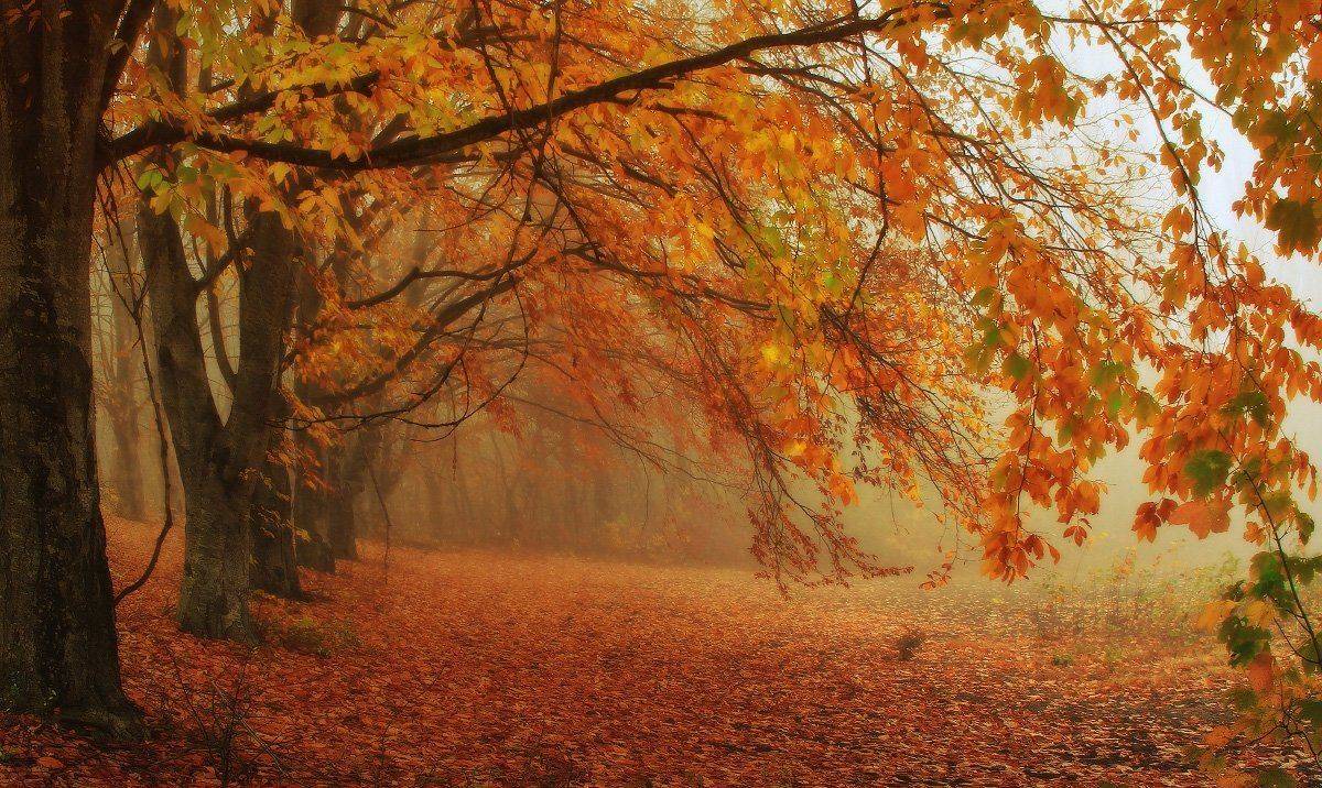 , Михаил  Пилипенко