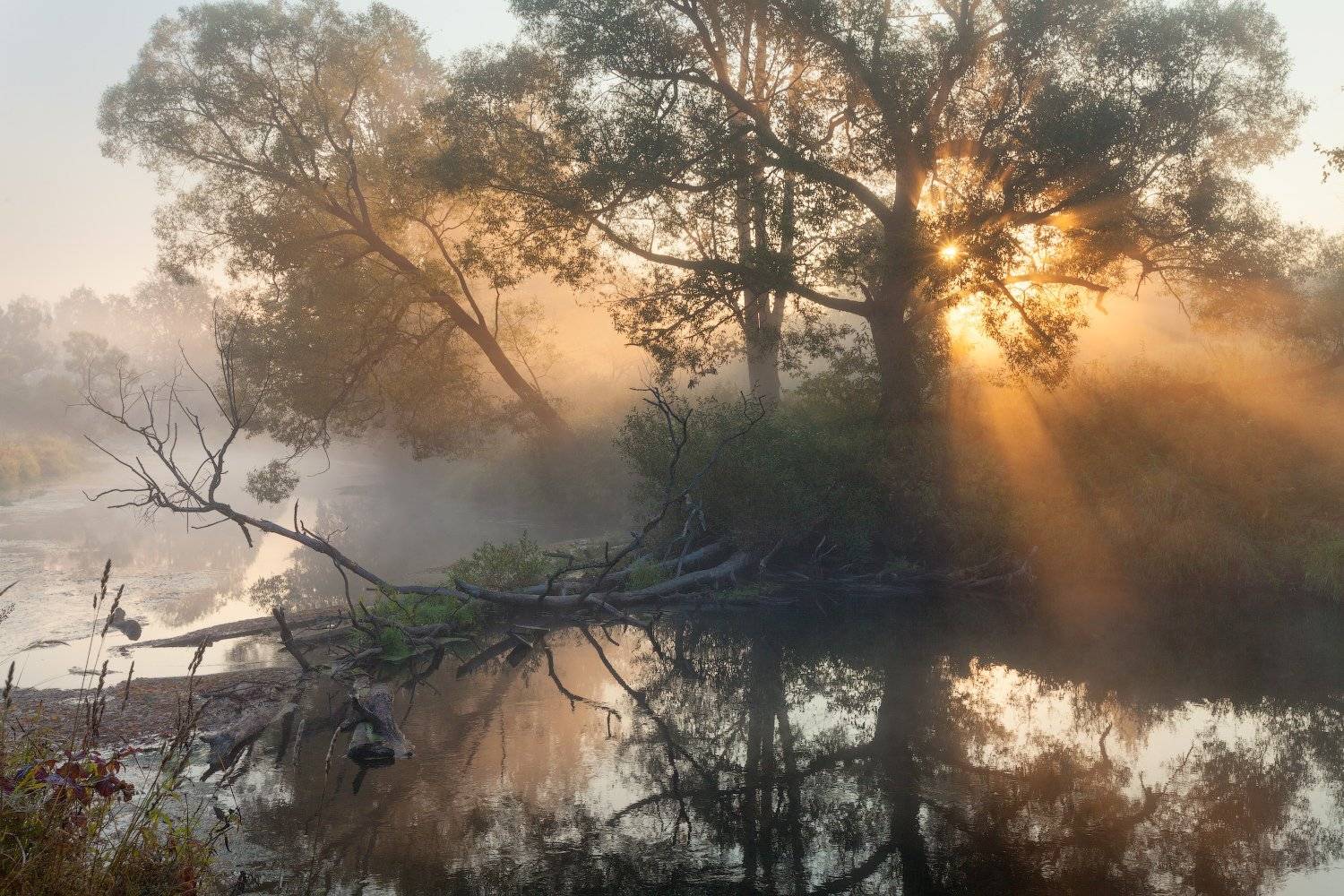 , Сергей Ершов