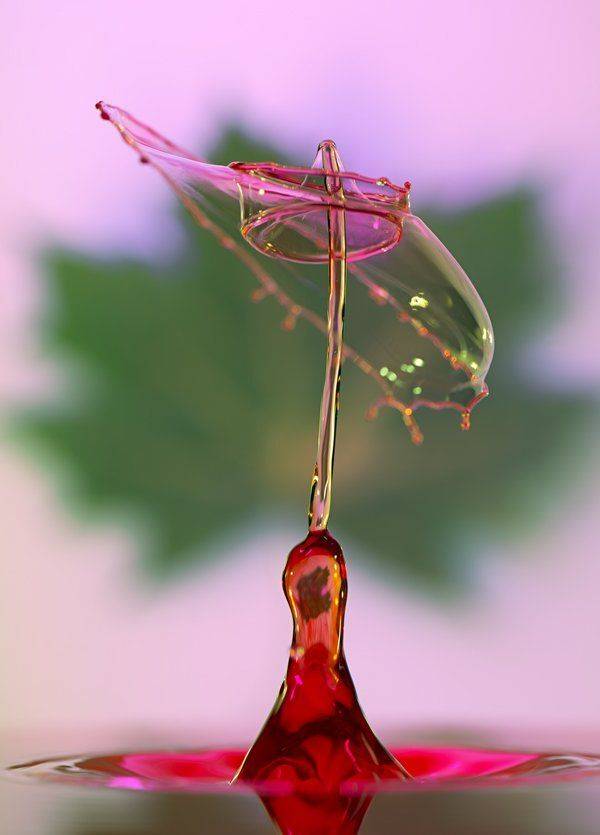 , Сергей Толмачев