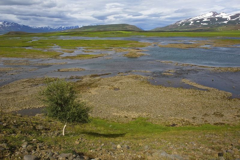 ... фото превью