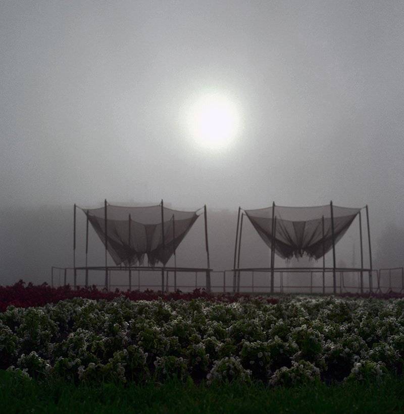 , Павел Мартюшев