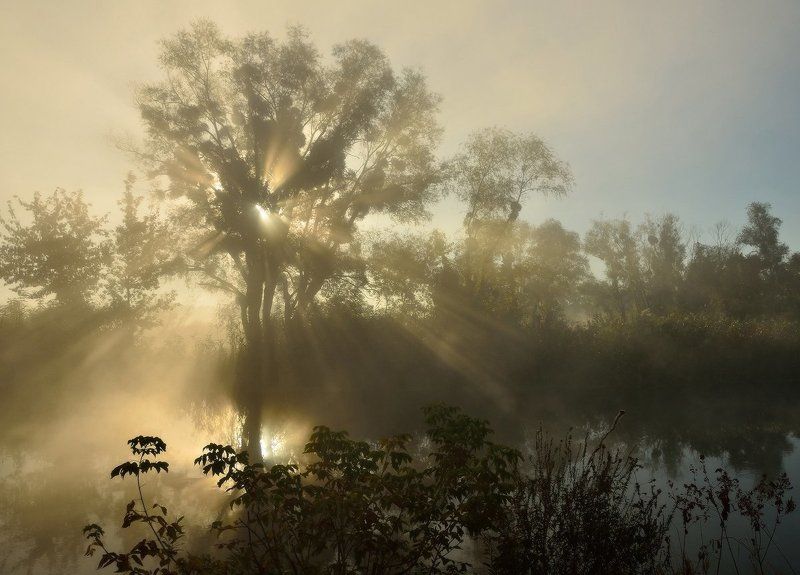 Мгновения фото превью