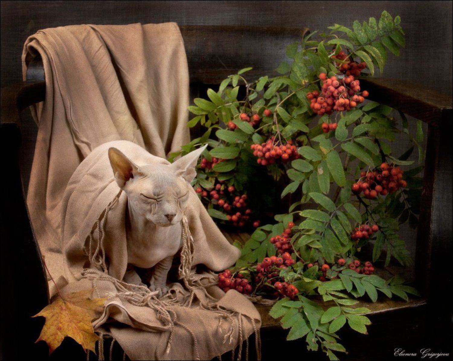 , Eleonora Grigorjeva