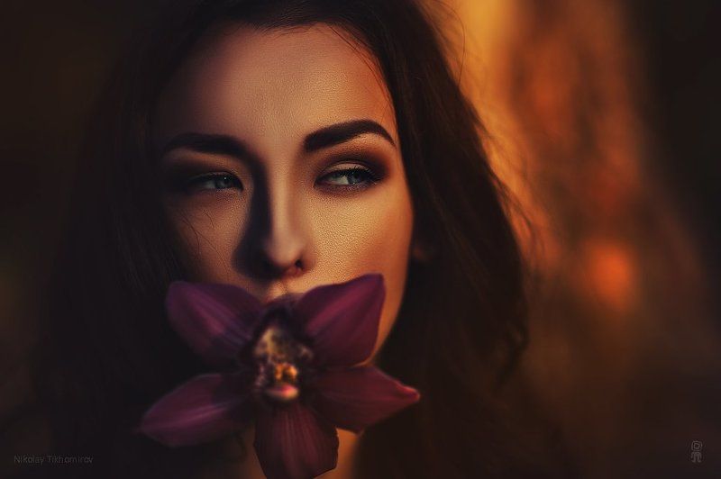 flower фото превью