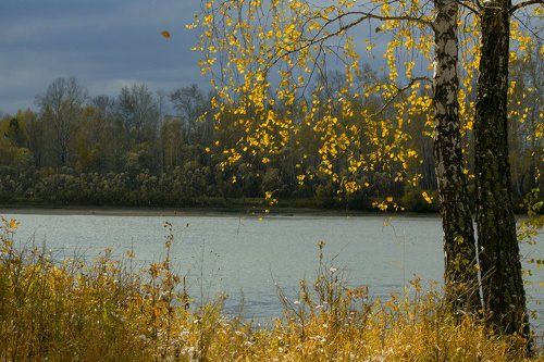 Сентябрь.Прогулка в осень
