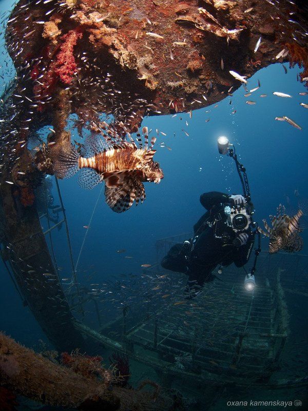 Стоп! Кадр! фото превью