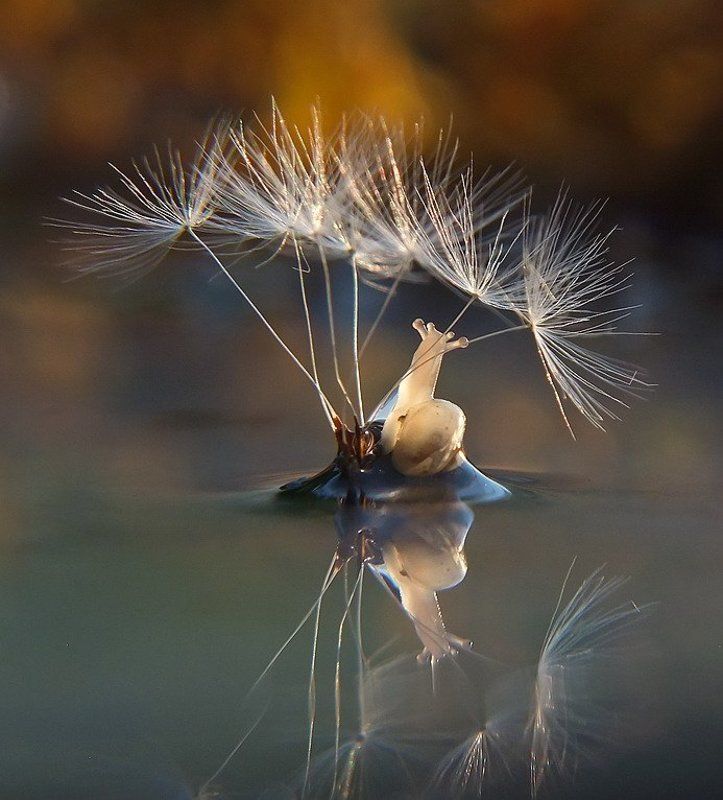 Малышка. фото превью