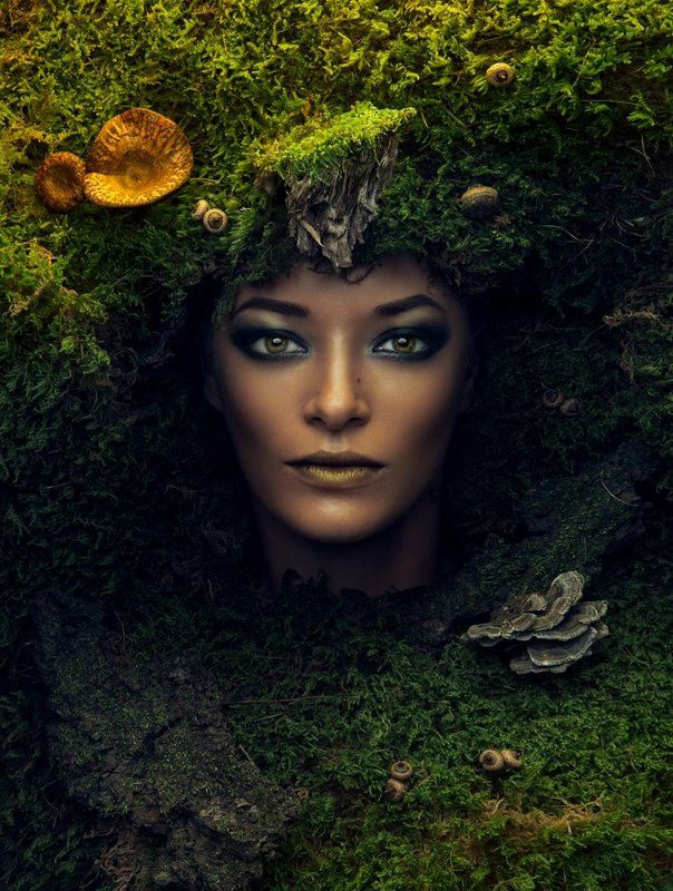 Fairy фото превью