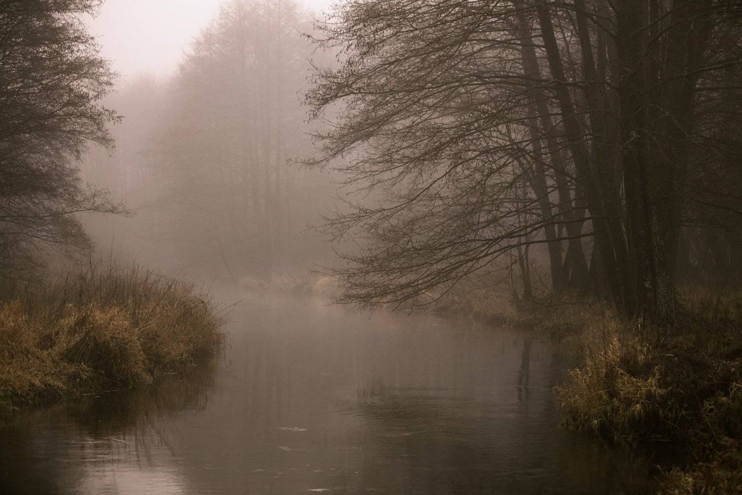 , Евгений Матюшенков