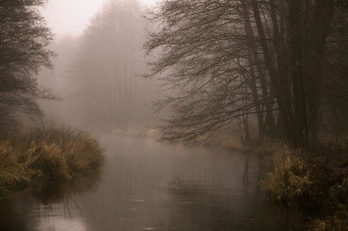 Туманная Сула